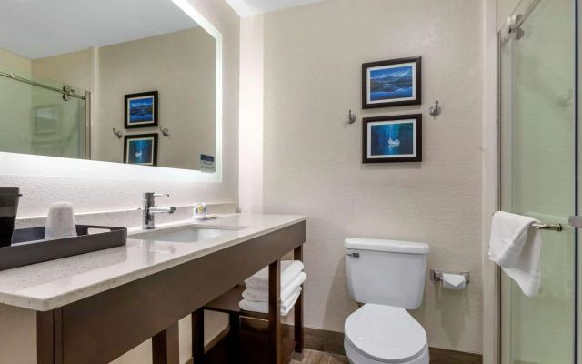 Comfort Inn & Suites Greer - Greenville