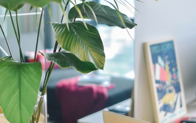 Robertson Premier Suites by Subhome