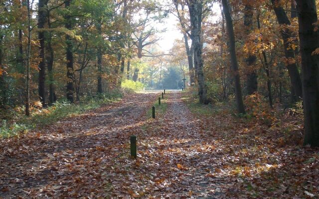 Semi-detached House With a Dishwasher, at 9 km van Slagharen