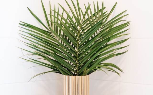 Sapphire Studios by Loft Affair