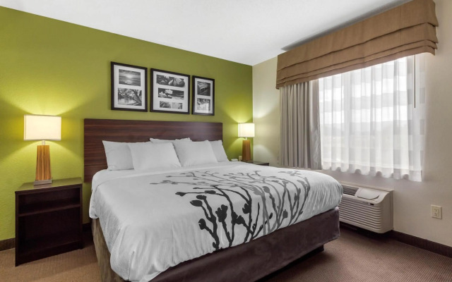 Sleep Inn & Suites Allendale