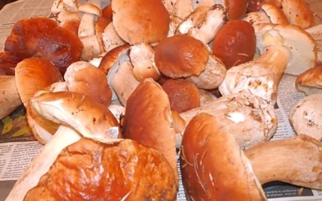 chambre chez mamie do