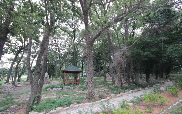 Geojedo Branch Cell MVG