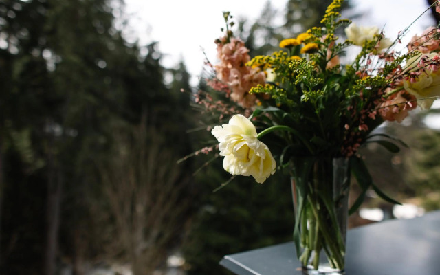 Luxusní horský apartmán v centru Harrachova