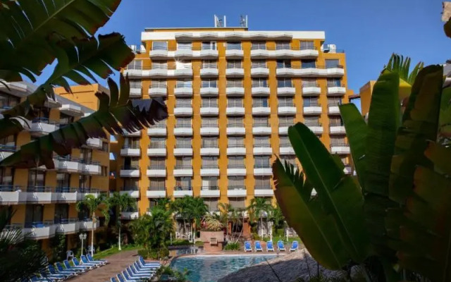 Hotel Margarita Dynasty C. A