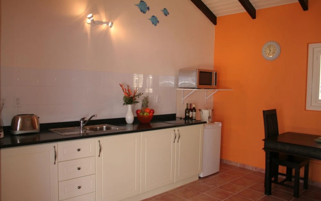 Blachi Koko Apartments Bonaire