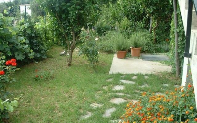 Il Giardino Dei Limoni