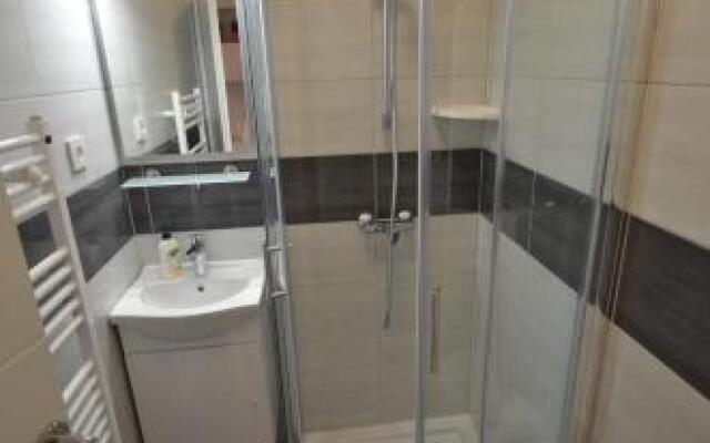 Downtown Luxury Apartment