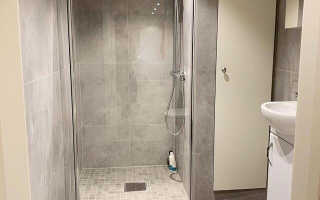 Newly renovated basement apartment