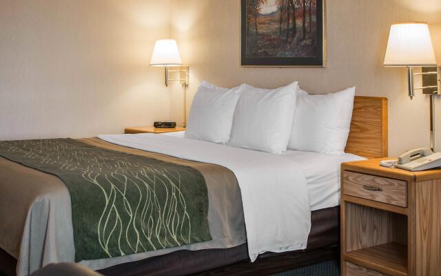 Comfort Inn Charlotte