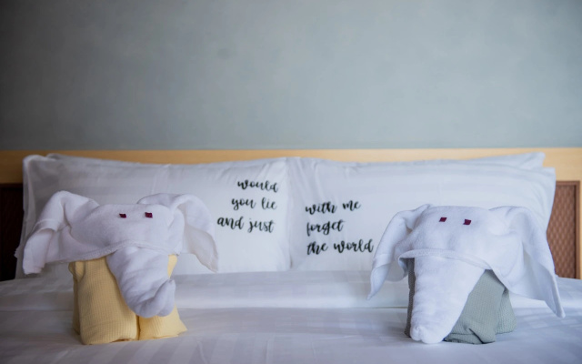 One Of A Kind Resort at Trikora Beach – Guest Rooms – Malang Rapat