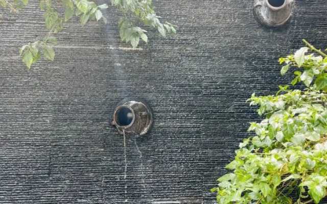 Xiao Yin Xiao Ju Inn