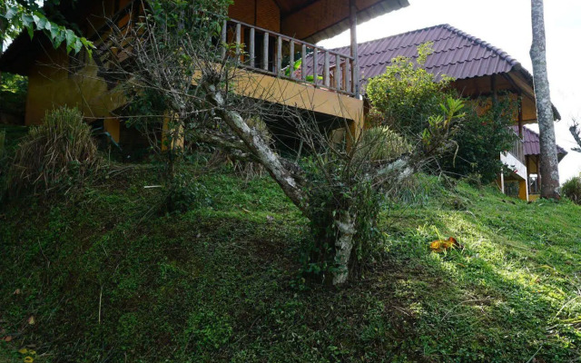 Maesalong Mountain Home