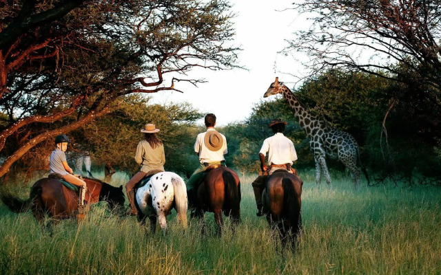 Royal Tree Lodge
