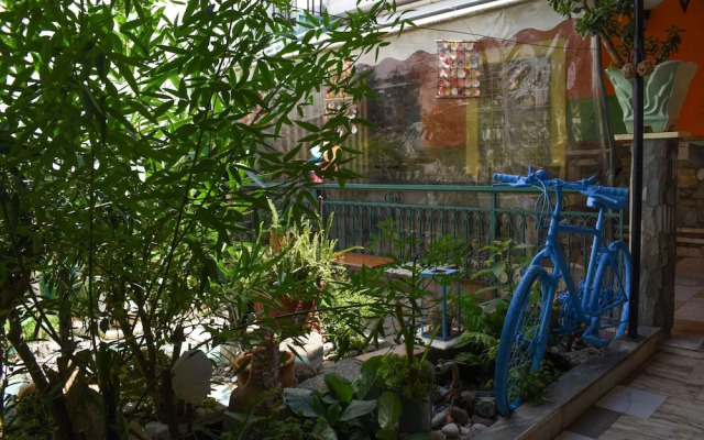 Urban Seaside Oasis - Adriana's Garden Paradise