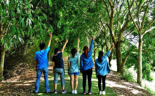 Hai Lua Homestay (Lotus Lake Homestay)
