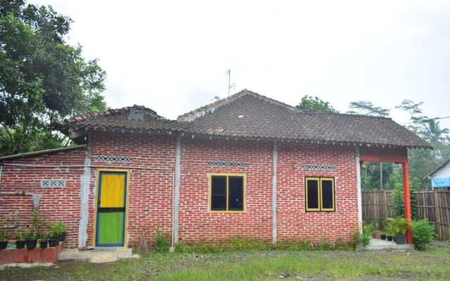 Dodo Dormitory Backpacker