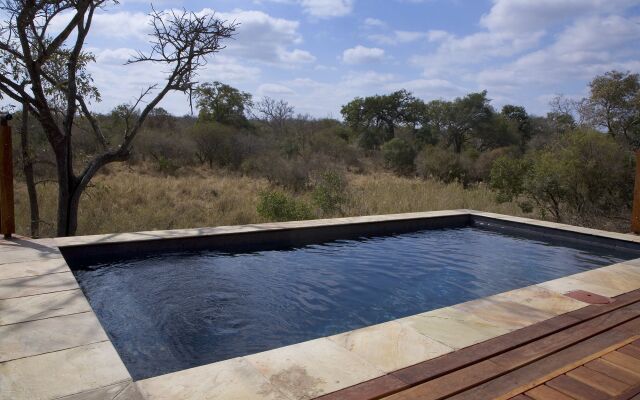 The River Lodge At Thornybush