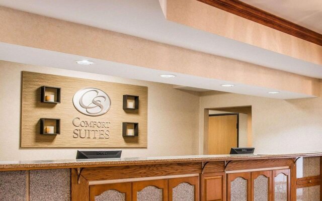 Comfort Suites South Haven near I-96