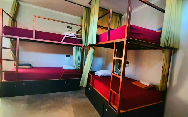 Urban Jungle House Bali