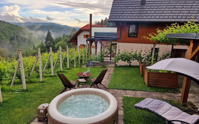 Vineyard cottage Matej