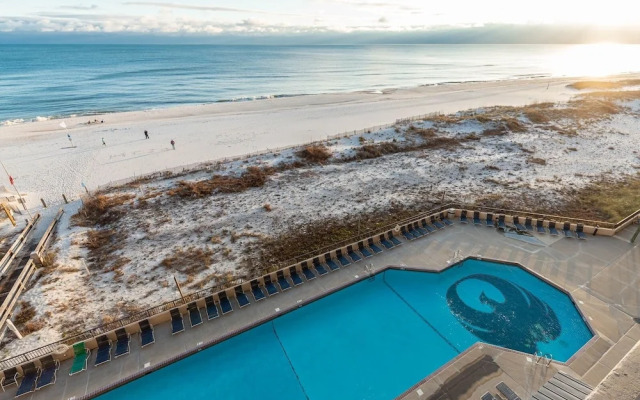 Phoenix X 609 3 Bedroom Condo