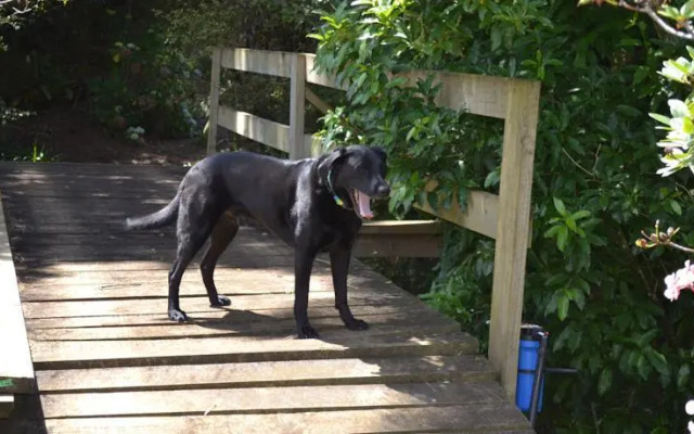 Birdsnest Holiday Home