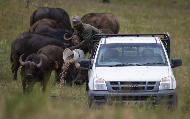 Elephants Lodge - Bellevue Forest Reserve