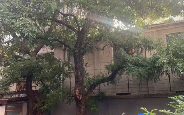 Laiya Audio-visual Homestay – Exterior – Hefei