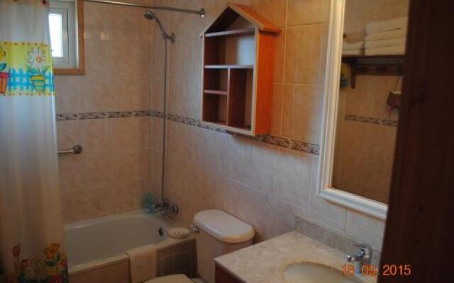 Cabañas Trayen