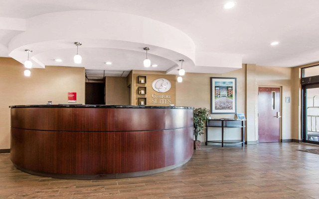 Comfort Suites Tuscaloosa near University