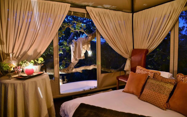 Wild & Free Game Lodge