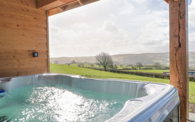 Lundy Lodge - Begwyns View