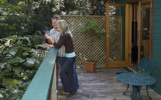 Springbrook Lyrebird Retreat