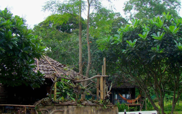Re - Wild House