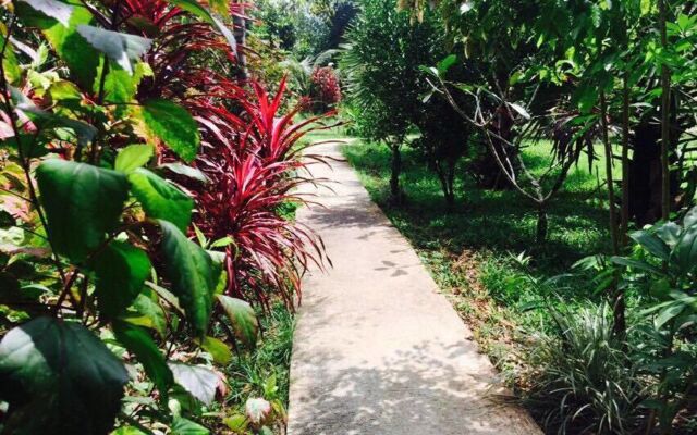 Khaosok Green Mountain View