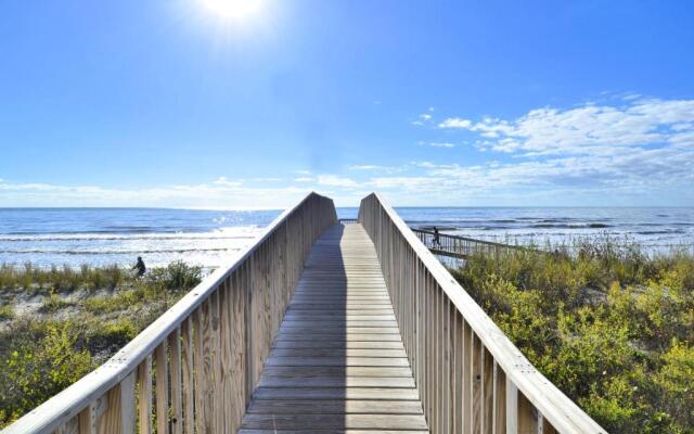 Seascape 1307 - A Sunny Seahorse