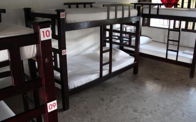 Drop Bear Hostel