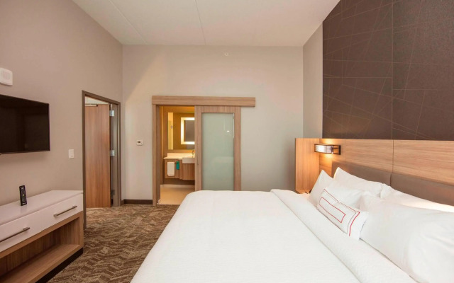 SpringHill Suites by Marriott Athens Downtown/University Area
