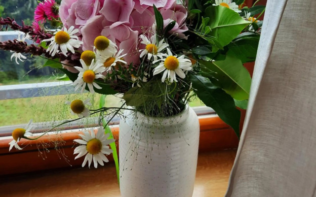 Velký apartmán Cihlarka pro až 17 osob