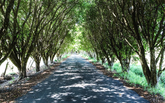 Hotel Fazenda Pé da Serra
