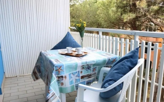 Cozy Place Near the Beach
