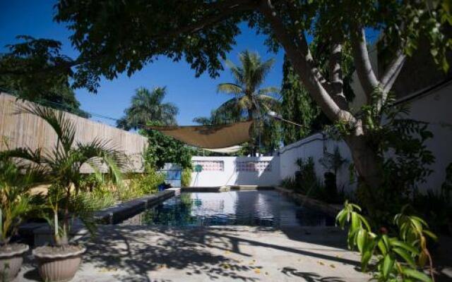 Timor Backpackers