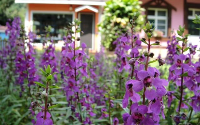 LI JING GUAN Coffee Homestay