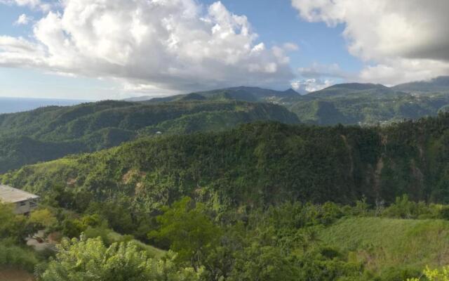 Matthew's Miracle View