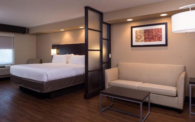 Holiday Inn Express & Suites San Antonio Medical-Six Flags, an IHG Hotel