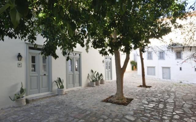 Cactus Hydra - Art Apartments