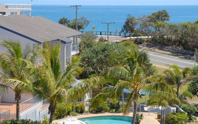 Pandanus Coolum Beach