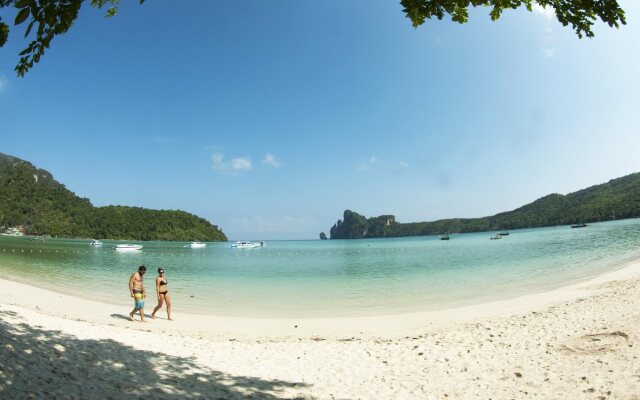 Phi Phi October House