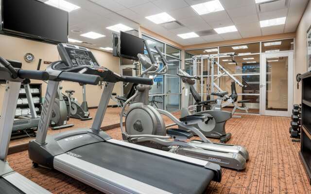 Best Western Plus Bathurst Hotel & Suites